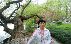 欧洲人看的WWW哔哩哔哩